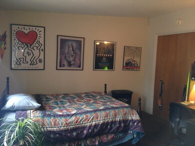 photo 1 (5)