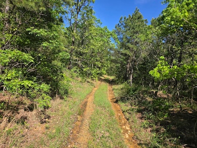 TRACT 40 Trail Ridge Rd, Albion, OK 74571 - photo 3
