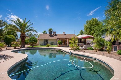 Pool facing house 2