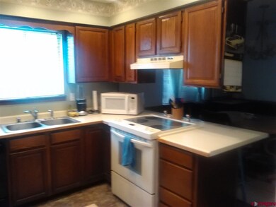 1806 Aldridge Rd, Cortez, CO 81321 - photo 2