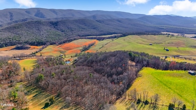 Tbd Crigger Creek, Sugar Grove, VA 24375 - photo 7