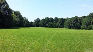 Hidden Pasture from the road, perfect place to bui