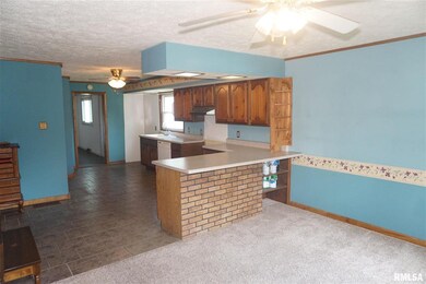 1212 Broadway St, Lincoln, IL 62656 - photo 4