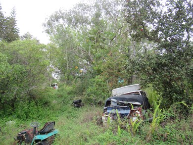 92-1807 Oceanview Pkwy, Ocean View, HI 96737 - photo 6