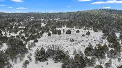 12 Moot Ct, Cedro, NM 87059 - photo 4