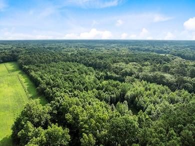 0 Oakville Rd unit 25032033, Hollywood, SC 29449 - photo 2