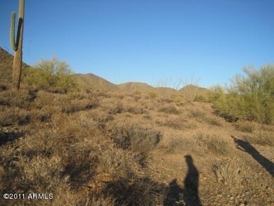 zimmerman_lot_007