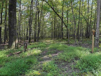 Lots 41 and 42 Daylily Ct, Terra Alta, WV 26764 - photo 4
