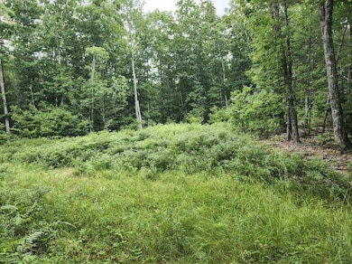 image000002(10)
