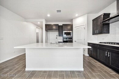 6047 Tin Hill St, Sunland Park, NM 88008 - photo 7