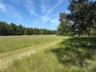 0 Sunbury Rd unit Tract 6 SA339082, Daisy, GA 30417 - photo 2