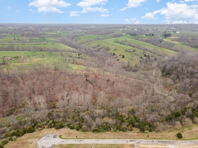 4 Acres Saddlebrook Ln, Dry Ridge, KY 41035 - photo 4