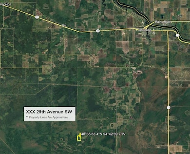 XXX 29th Ave SW, Baudette, MN 56623 - photo 2