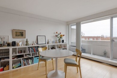 29 Concord Ave unit 715, Cambridge, MA 02138 - photo 5