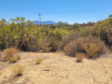 0 S Terwilliger Rd unit SW25167201, Anza, CA 92539 - photo 4