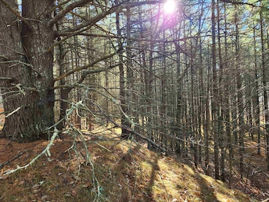 18 White Mountain Hwy, Wakefield, NH 03872 - photo 7