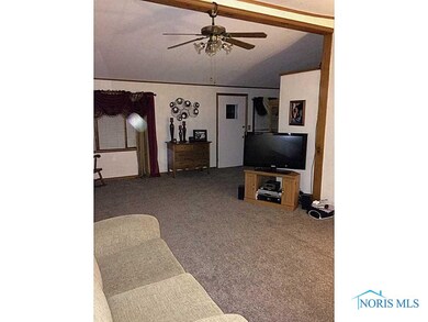 1005 W College Ave, Woodville, OH 43469 - photo 7