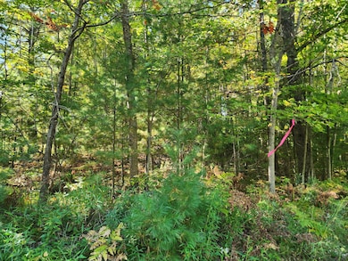 8681 E 8th St, Chase, MI 49623 - photo 6