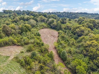 0 Shoal Creek Rd unit RTC3033109, Goodspring, TN 38460 - photo 7