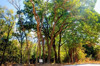 5115 N STATE HIGHWAY 5115 N State Highway 6, Hearne, TX 77859 - photo 7