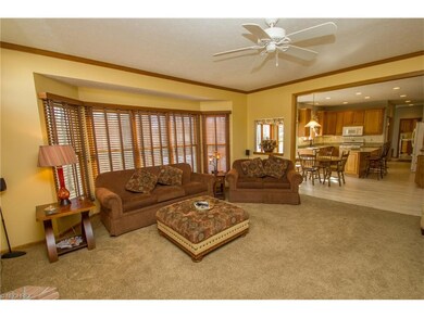 Great room open to kitchen