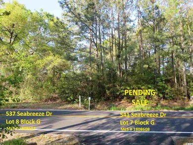 541 Seabreeze Dr unit Lot 7 Block G Myrtle, Murrells Inlet, SC 29576 - photo 7
