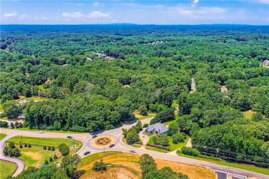 Bird's eye view of a forest