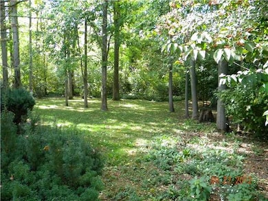 Yard/Garden. The back yard as seen in October.