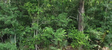 18270 E River Rd, Conroe, TX 77302 - photo 5