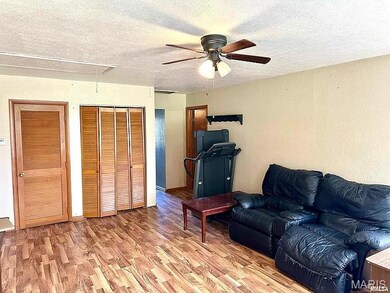 414 E Monroe Ave, Farina, IL 62838 - photo 6