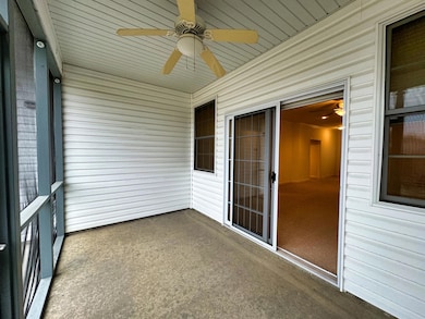 Screened patio 2