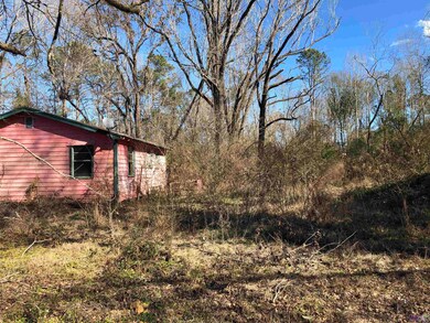 TBD Mcdaniel Rd, Amite, LA 70422 - photo 7