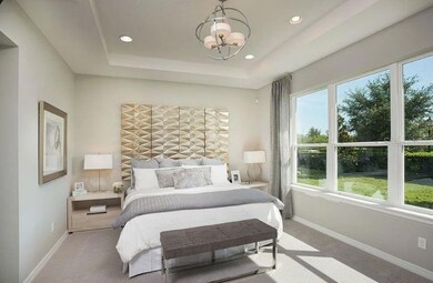 Representative Photos