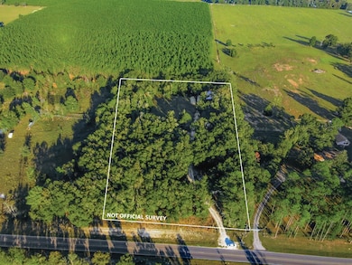 0000 NW 60th Ave, Chiefland, FL 32631 - photo 7