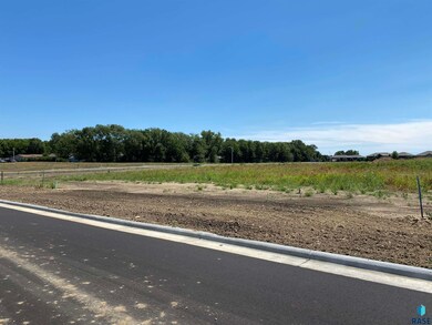 0 Lot 5 Blk 2 Valhalla Dr, Viborg, SD 57070 - photo 4