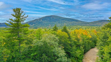 041 Tanner Way, Bridgton, ME 04009 - photo 5