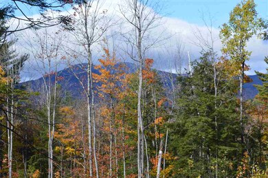 1 Durgin Rd, Tuftonboro, NH 03816 - photo 2