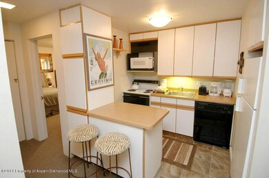 718 S Mill St unit 12, Aspen, CO 81611 - photo 7