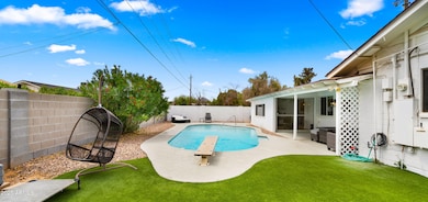 Backyard5