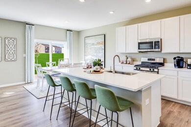 381 S Constitution Dr, Aurora, IL 60506 - photo 6