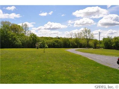 Yard/Garden Front yard/Driveway