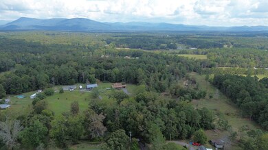 0 Charlie Walls Rd, Chatsworth, GA 30705 - photo 4