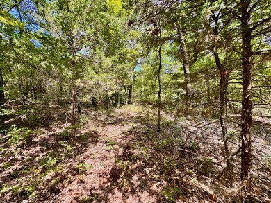 Lot 24 and 25 Block 3 Sequoyah Addition 1, Vian, OK 74962 - photo 7