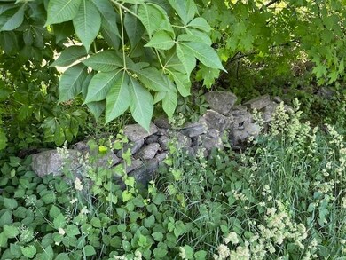 2186 Main St, Cavendish, VT 05142 - photo 7