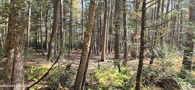 C830 & C83 Lakeside Ln, Albrightsvlle, PA 18210 - photo 3