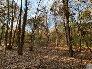 6207 Chaparral St, Texarkana, TX 75503 - photo 4