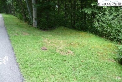Lot 4 Churchill Downs, Boone, NC 28607 - photo 6