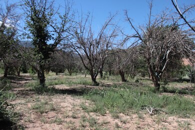 1 Calle Taraddei, Placitas, NM 87043 - photo 7