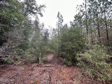 Tract 6418 Mattox Springs Rd unit 1, Caryville, FL 32427 - photo 4