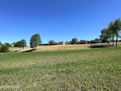 232 Eagle Cir, Vonore, TN 37885 - photo 5